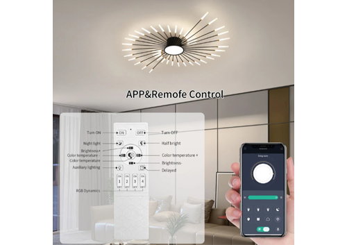 42-Light Black LED Firework Ceiling Light, APP & Remote Control, Dimmable Flush